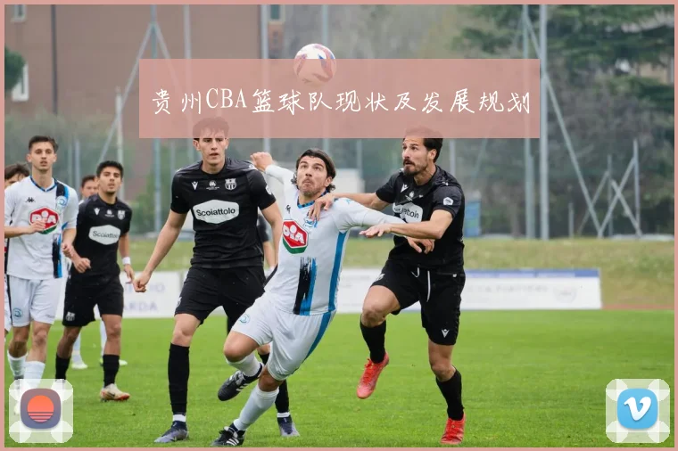 贵州CBA篮球队现状及发展规划
