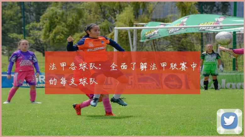 法甲各球队：全面了解法甲联赛中的每支球队