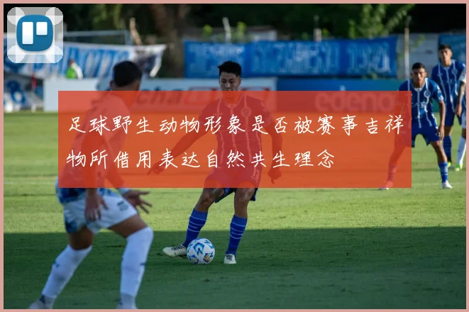 足球野生动物形象是否被赛事吉祥物所借用表达自然共生理念
